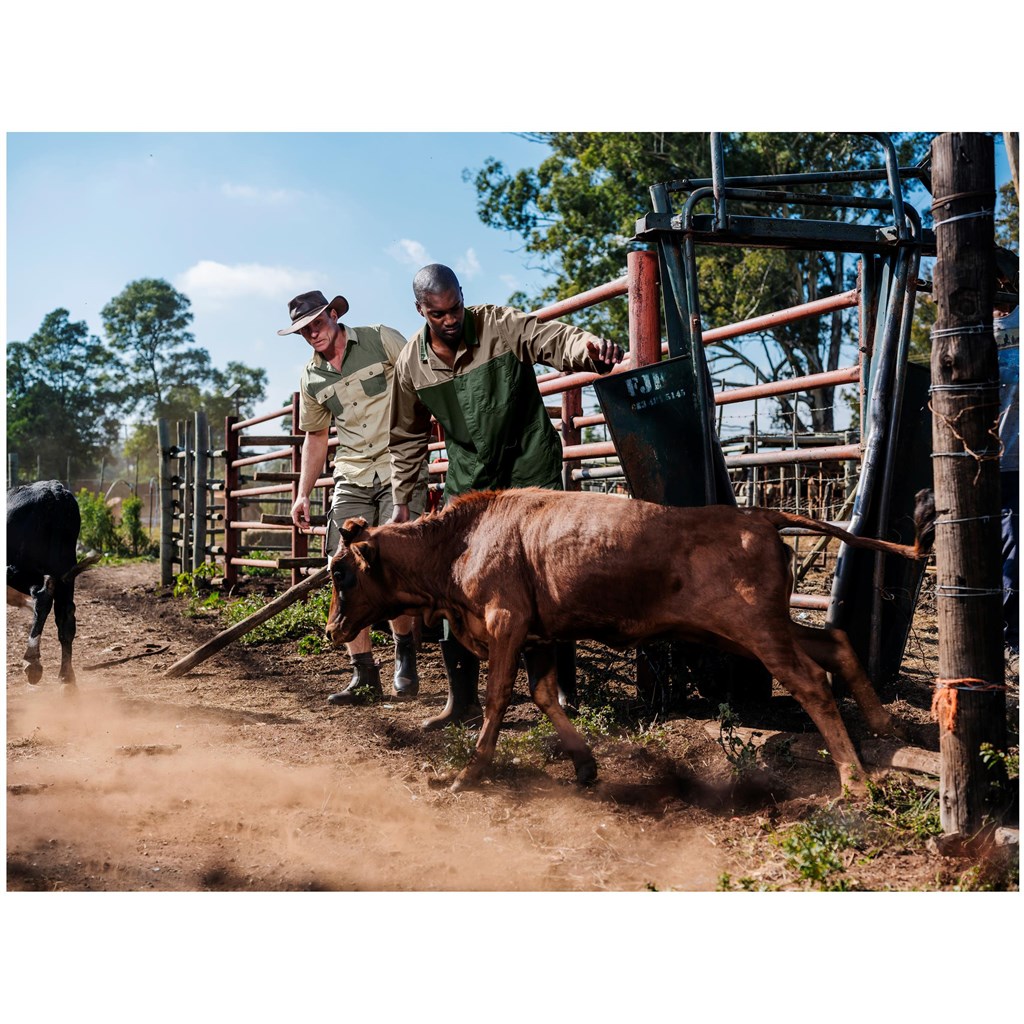 Site Premium Two-Tone Polycotton Jacket - Image 14