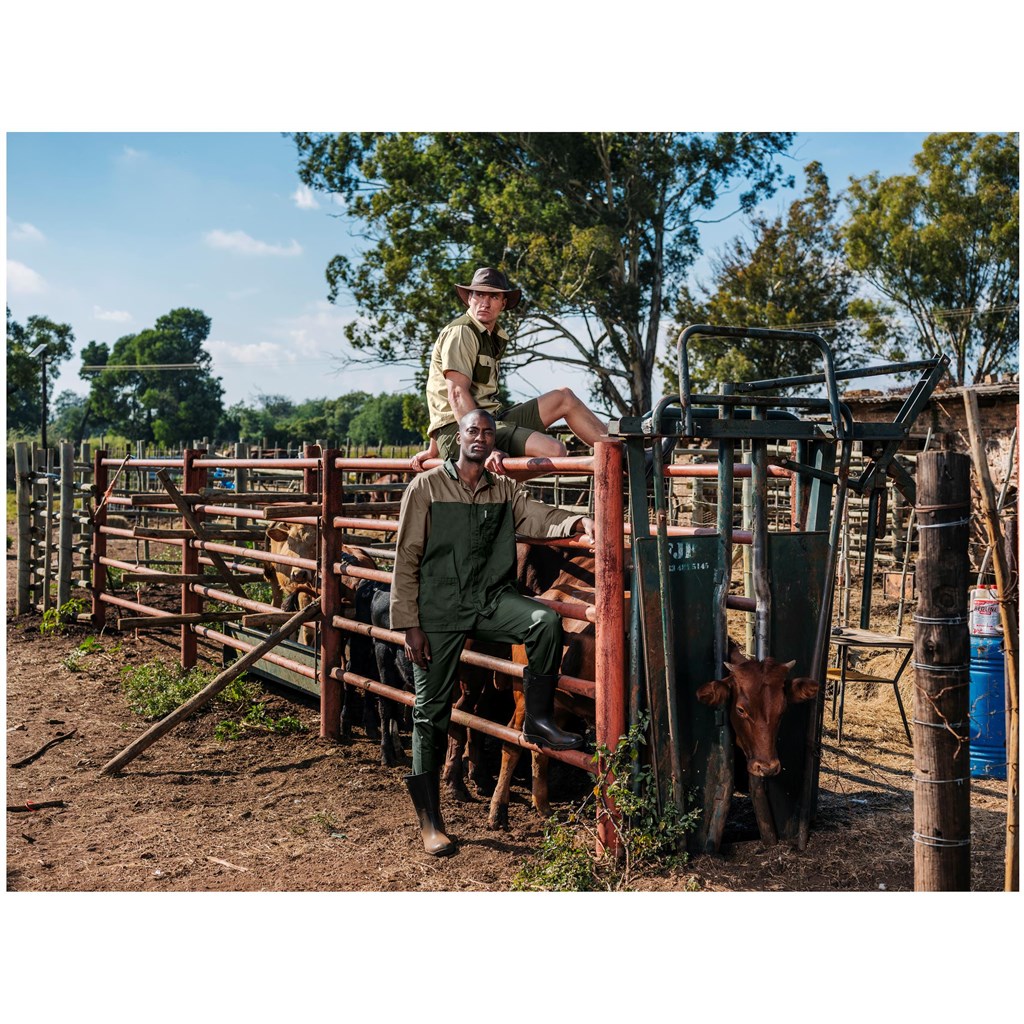 Site Premium Polycotton Pants - Image 8