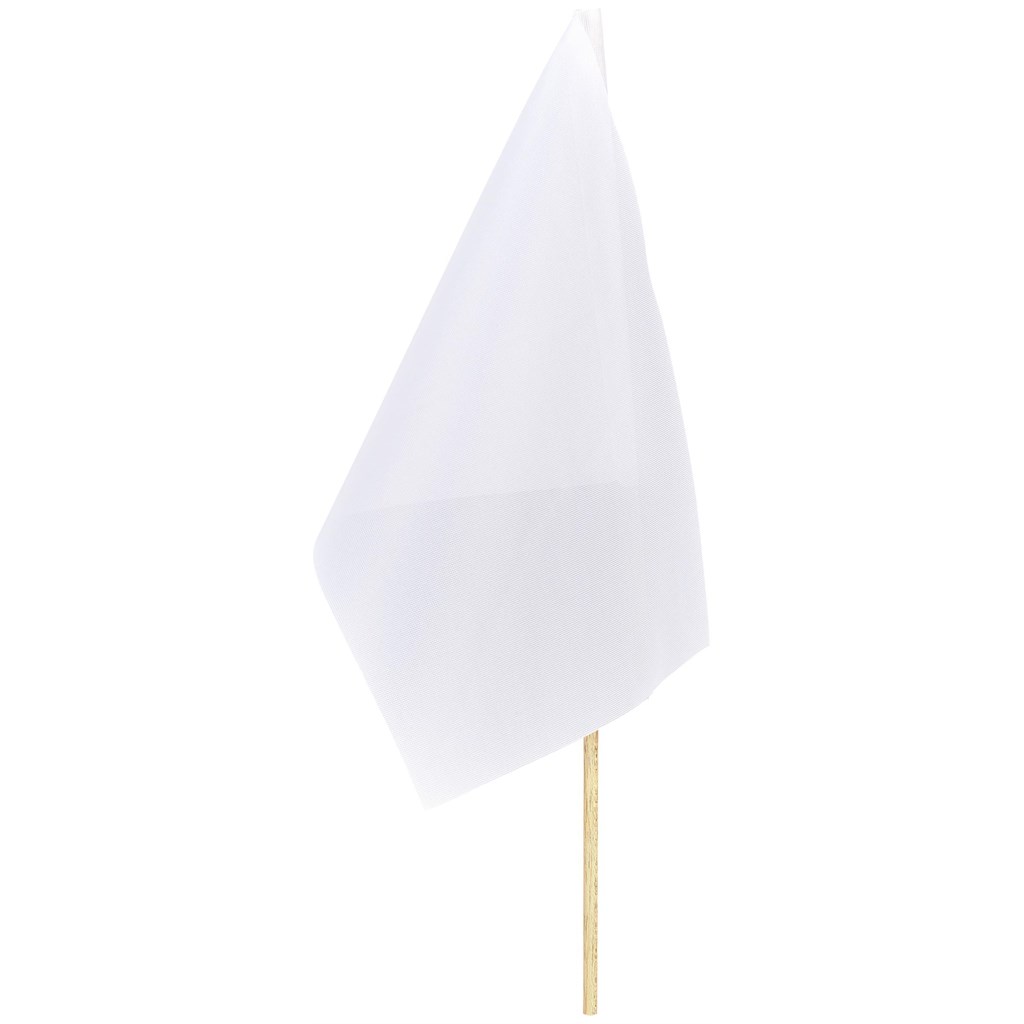 Champion Small Hand Flag 300mm x 200mm - Image 4