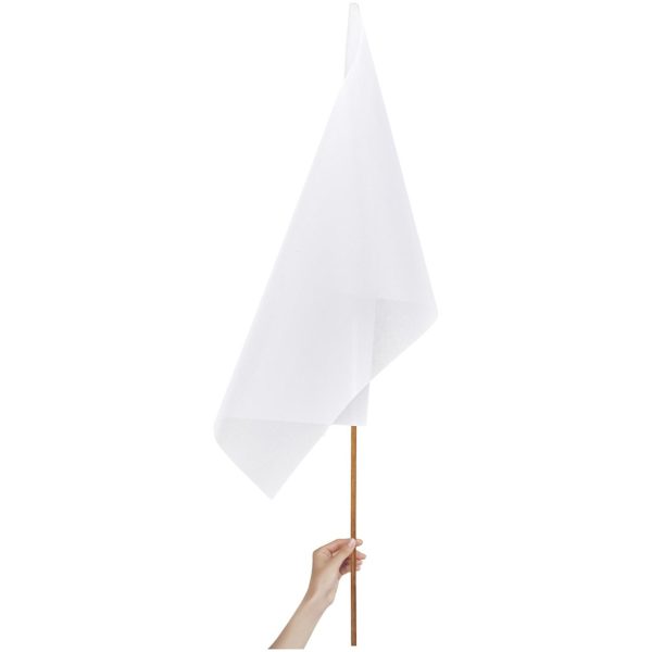 Champion Large Hand Flag 900mm x 600mm - Image 2