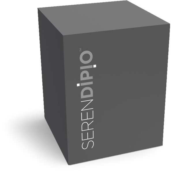 Serendipio Sheridan Stainless Steel Vacuum Tumbler - 300ml - Image 6