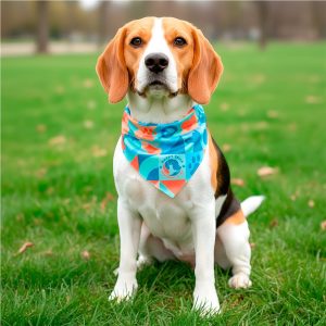 Custom Pet Accessories